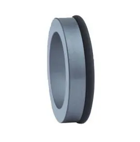 Mechanical Seal Tbs Replace John Crane BS Stationary Seat 
