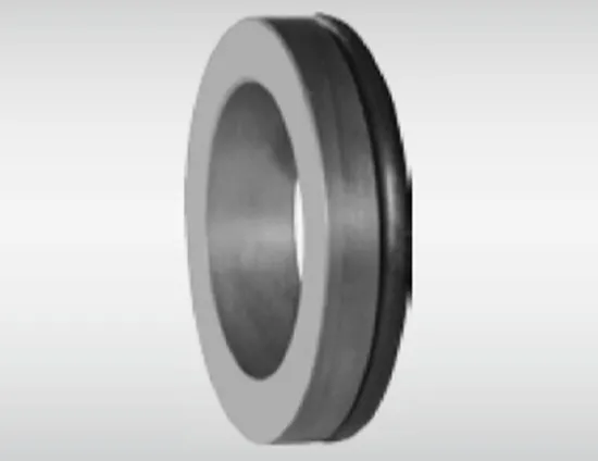 WG T24DINS Stationary Seat Seies for Pumps 