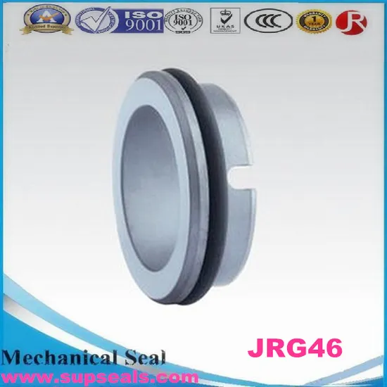 Excellent Sillicon Carbide Stationary Seat G46 