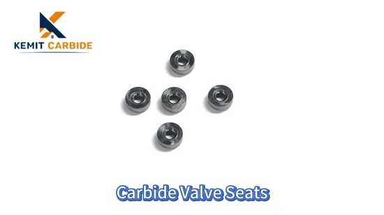 Tungsten Seats Carbide Ring Mechanical Seal Spare Parts Stationary Seat for Pump 