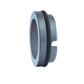 Mechanical Seal T24dinl Replace AES S05 Stationary Seat 