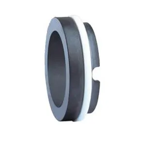 Mechanical Seal TBP to Replace BP Stationary Seat 