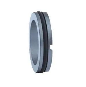 Mechanical Seal T21 Replace AES S07/S070 Stationary Seat 