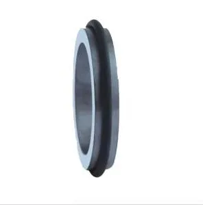 Mechanical Seal TN Replace John Crane PG Stationary Seat 